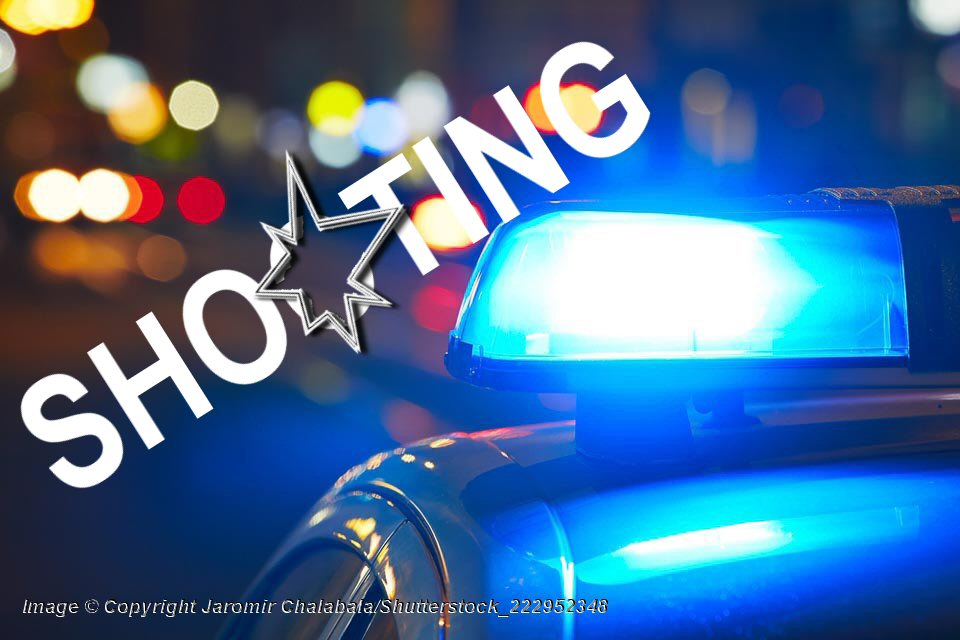 Blue-Police-Car-Light - Photo: © Copyright Jaromir Chalabala/ Shutterstock