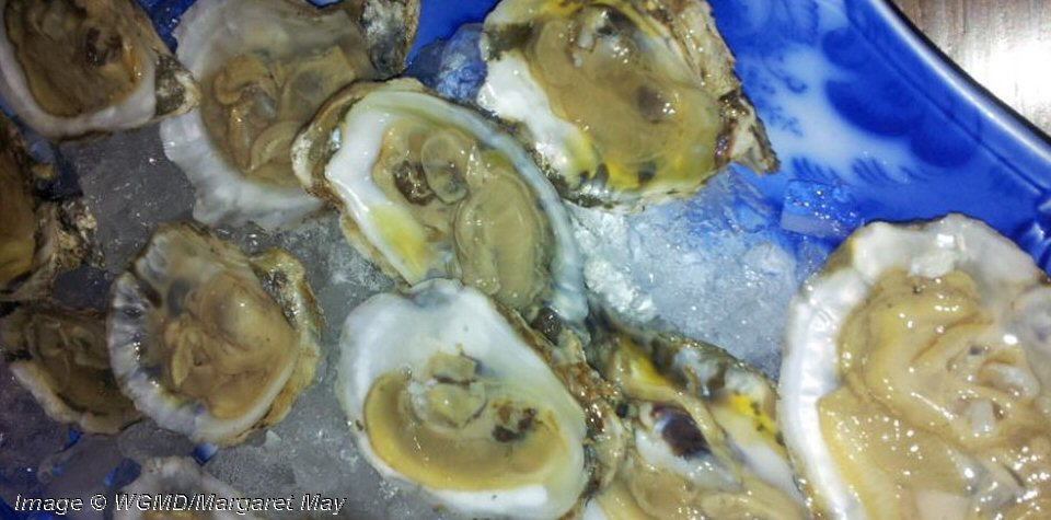 oysters-halfshell