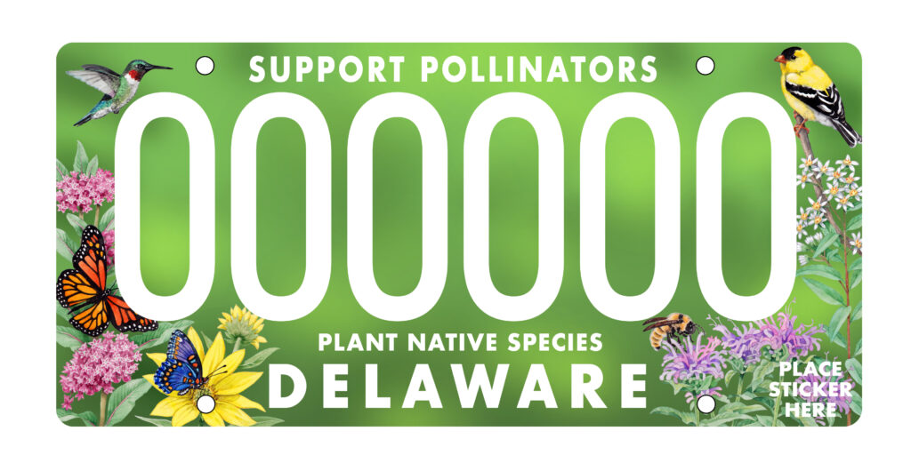 DMV Support Pollinators Plate (photo courtesy of DelDOT)