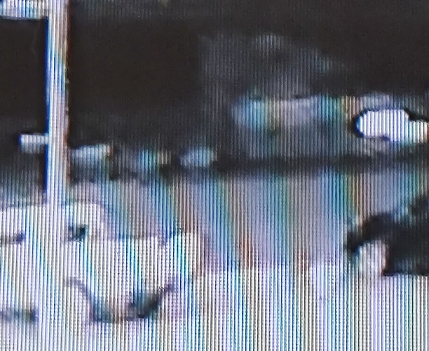 Possible suspect vehicles, Wicomico Co. hit and run fatality (photo released by Maryland State Police)
