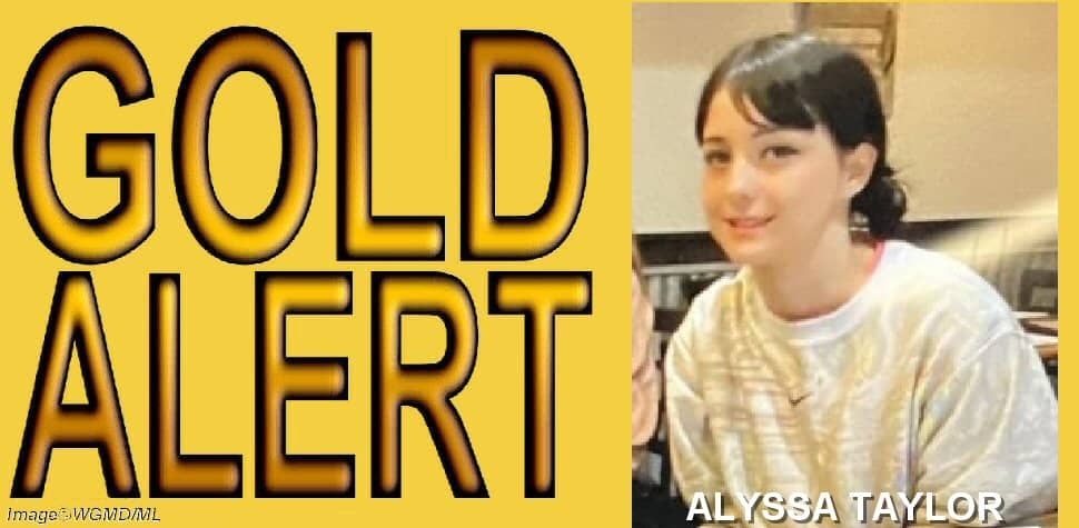 Gold Alert Issued for Missing Bridgeville Teen - Vimarsana News