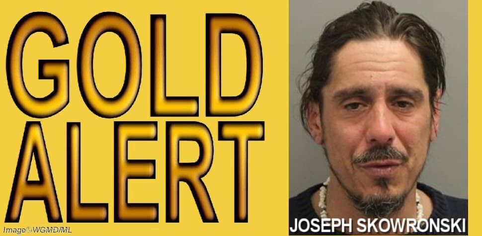 Gold Alert Issued for Dover Man - Vimarsana News