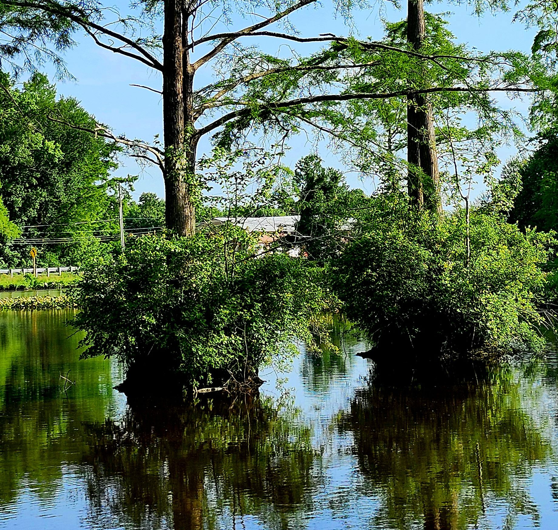 Adkins Mill Park near Powellville