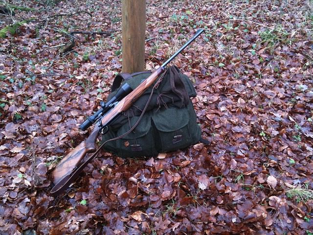 New Law Expands Hunting Opportunities in Delaware