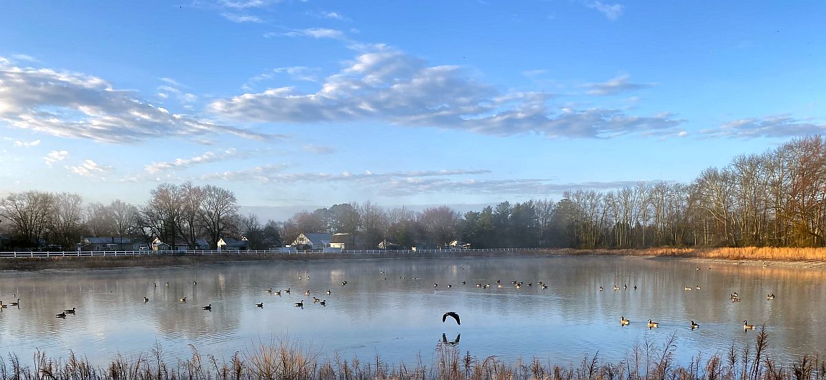 A calm pond along the Sandhill Fields walking trail under a blue summer sky.
