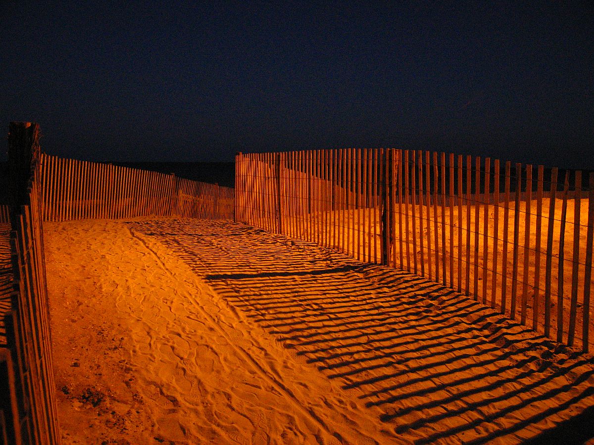 Beach fencing and sand illuminated at night in a 2005 photograph.