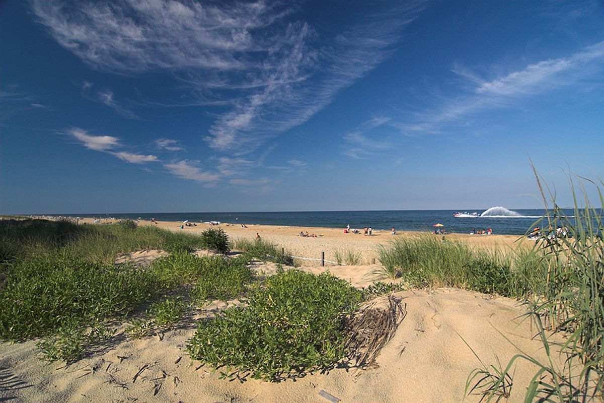 A view toward the Ocean City beach through the dunes.