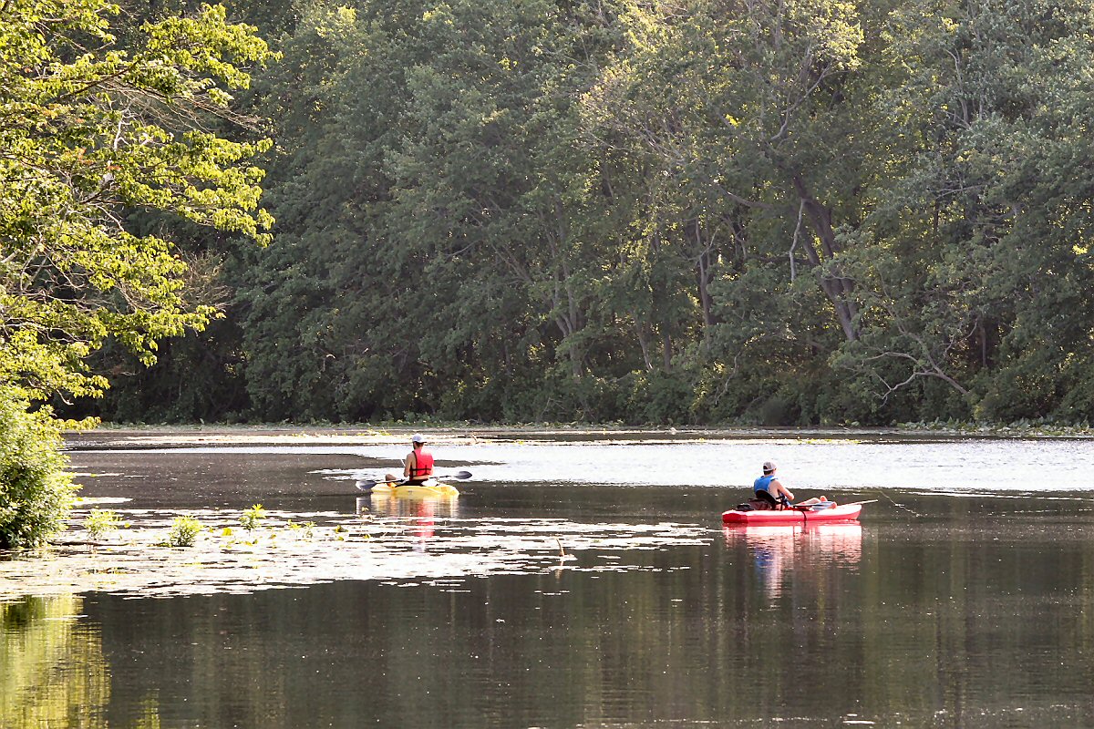 Kayaking at Abbots Mill Pond near Milford