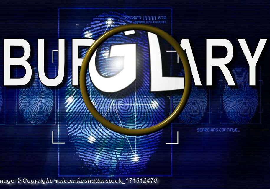 Fingerprint-Scanning - Photo: © Copyright welcomia/shutterstock