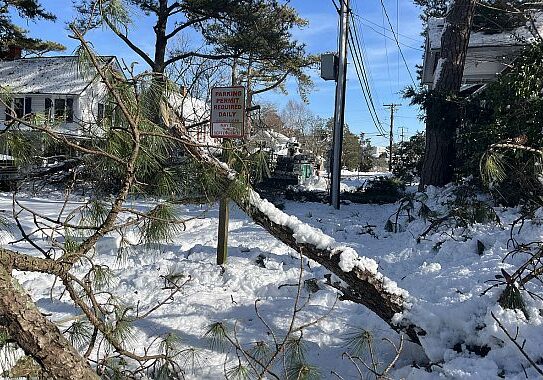 Image courtesy City of Rehoboth Beach