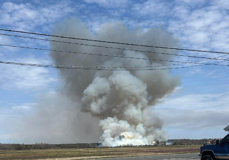 Image courtesy Delmar FD