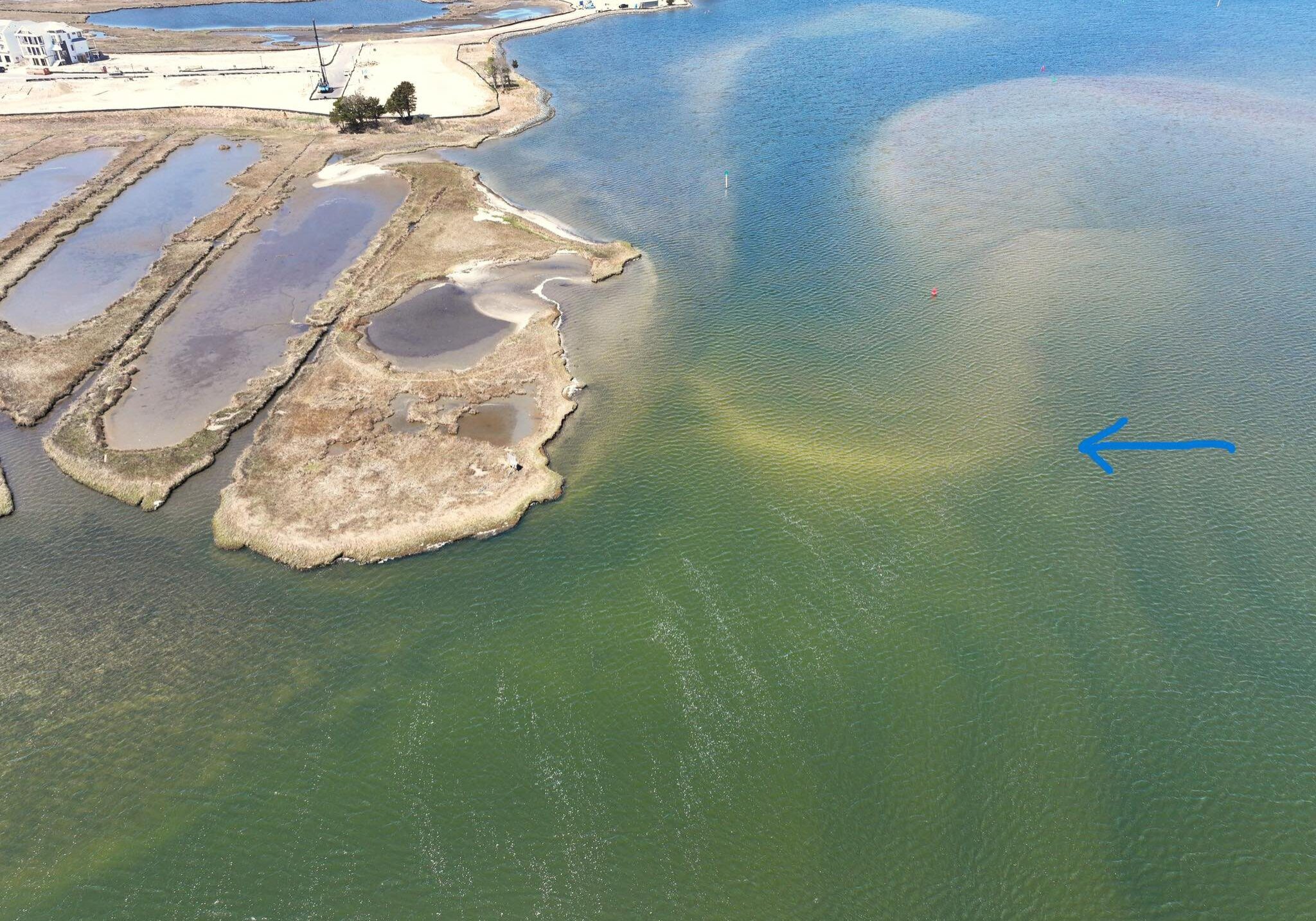 Image courtesy Town of Fenwick Island