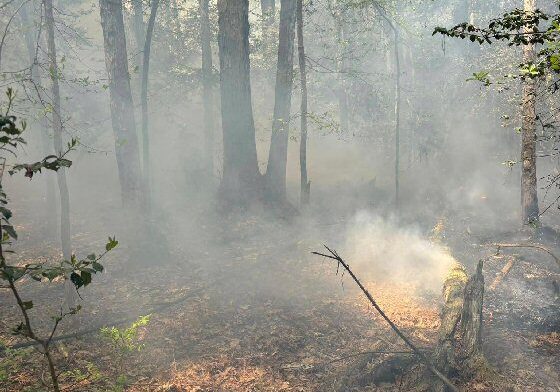 Big Stone Beach Road outdoor fire / Image courtesy Chief Bobby Johnson-South Bowers VFC