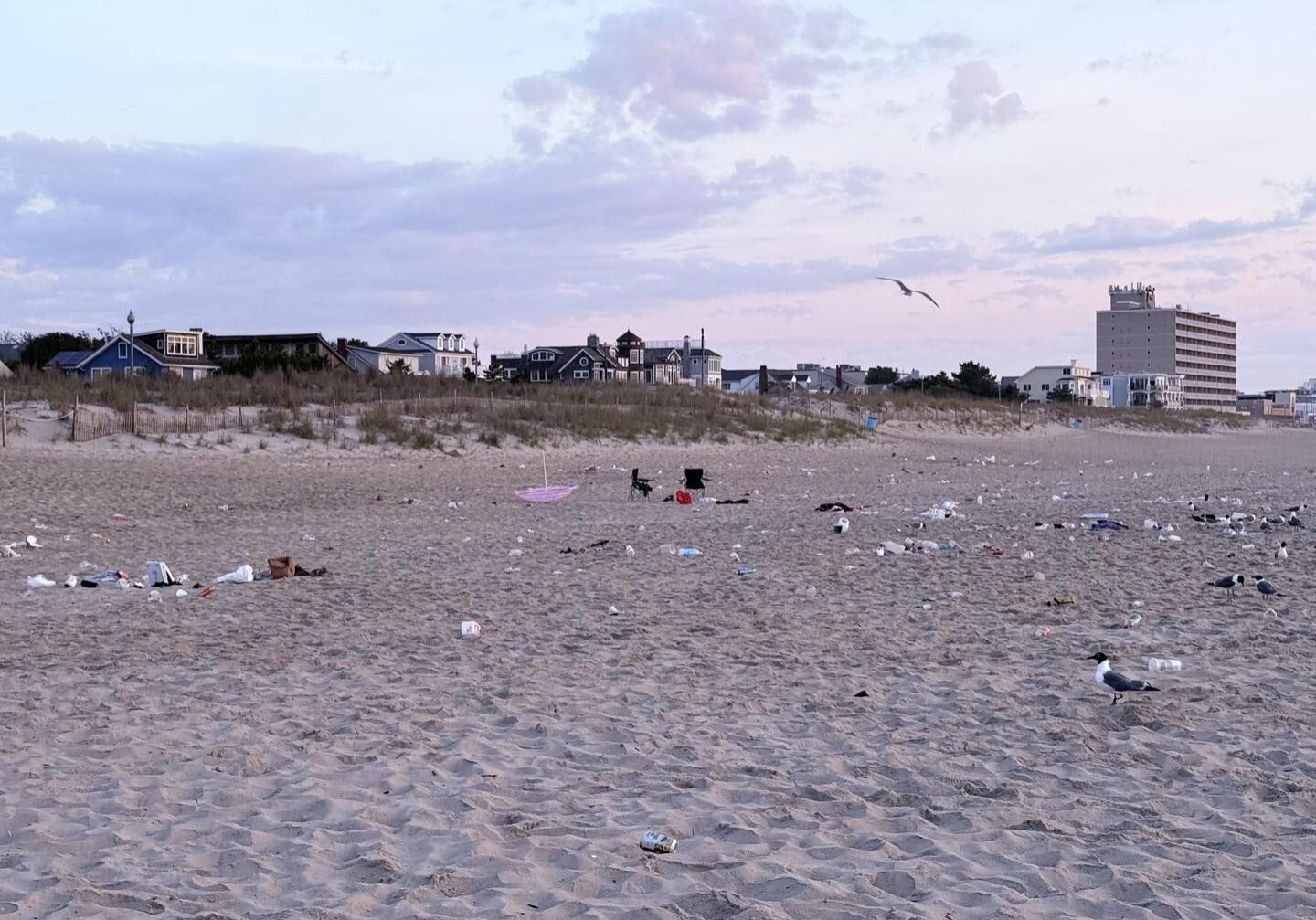 Image courtesy iDewey.com