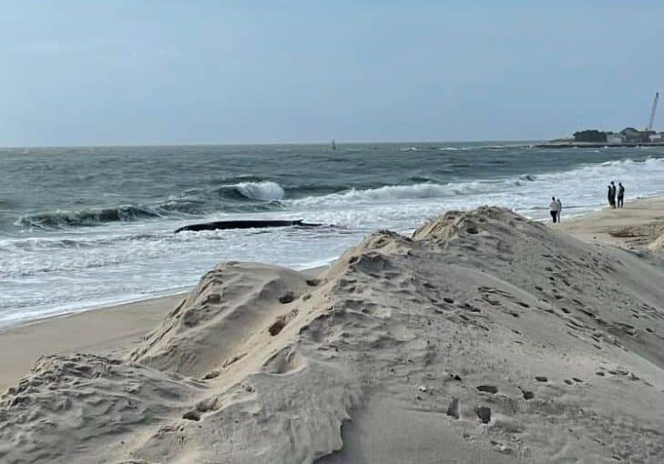 Image courtesy Lewis Roland Hubbard, Jr.