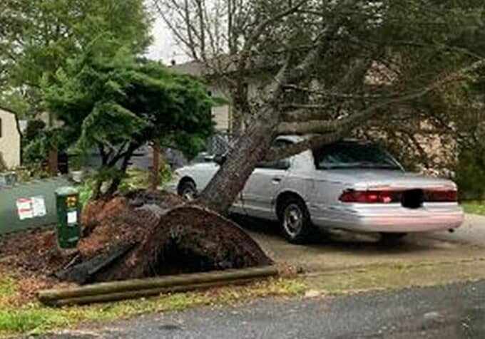 Image courtesy IRVFC