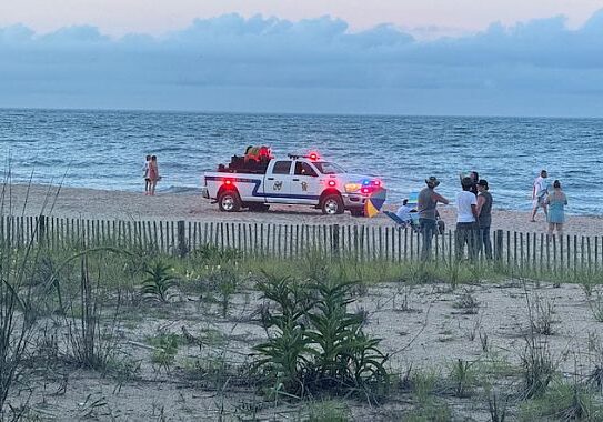 Image © TOD/Mark Giuliani