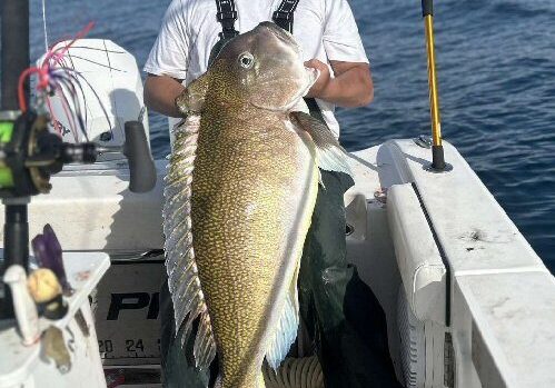 Logan Smith aboard the boat Blue Betty II with his new state record Golden Tilefish that weighed 56 pounds, 3.2 ounces and eclipsed the previous record by almost 3.5 pounds /Photo courtesy of Logan Smith & DNREC