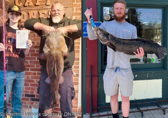New state records were set recently for two invasive fish species in Delaware. Jason Wise holds his 33-pound, 15.68 ounce Flathead Catfish (left above) while Dyllan Rust of Harrington hauled in a 15-pound 8-ounce Northern Snakehead breaking a record set only a month before Rust made his catch.