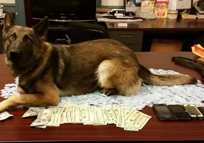 Image courtesy Bridgeville Police Department