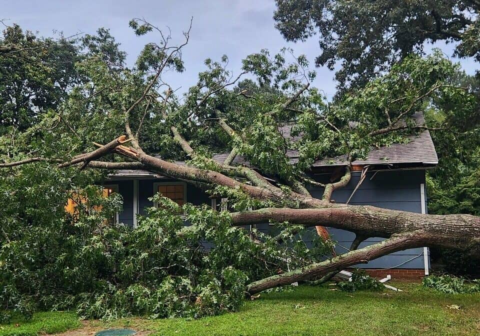 Damage from Saturday night's storm in Salisbury / Image courtesy Salisbury Fire Department