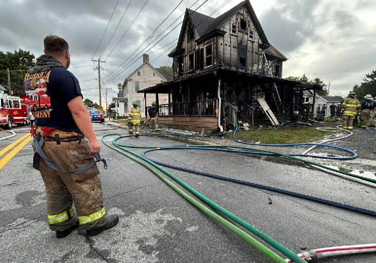 Image courtesy Frederica VFC