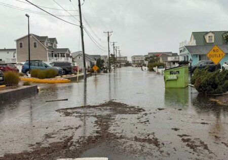 Image courtesy Town of Fenwick Island - Government