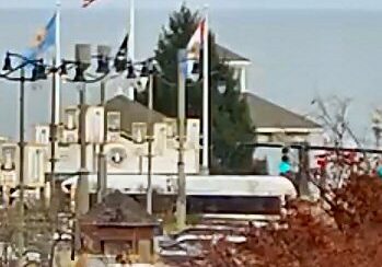 Rehoboth Beach Christmas tree - it's massive! / Courtesy of the Lingo cam