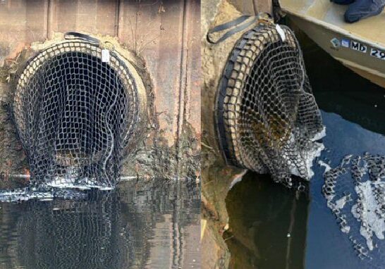 Image courtesy City of Salisbury