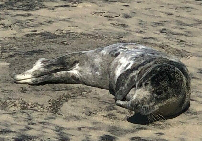 Photo courtesy of MERR Institute