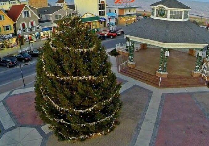 Rehoboth's 2017 Christmas Tree / Image courtesy City of Rehoboth
