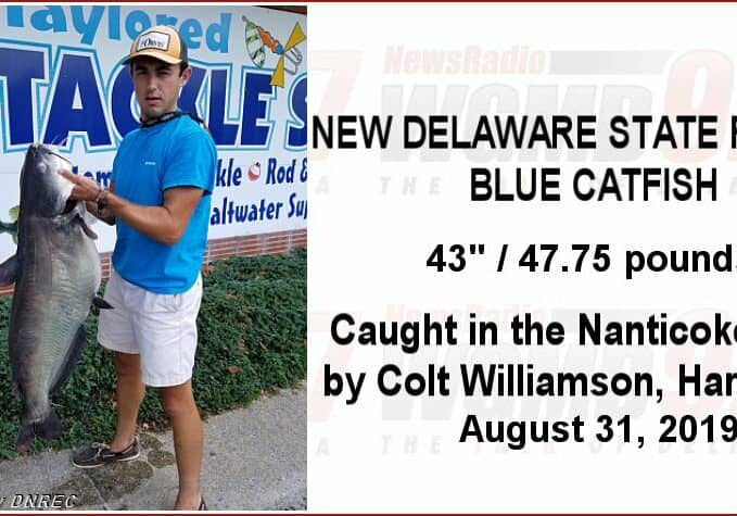 2019-RecordBlueCatfish-ColtWilliamson
