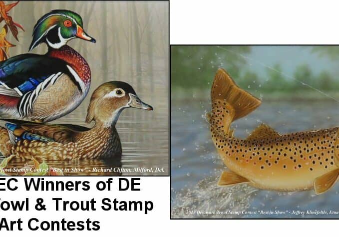 Images courtesy of DNREC