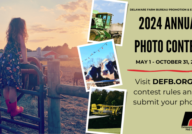 2024 Photo Contest