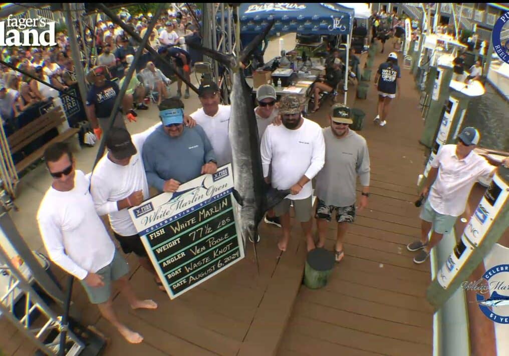 1st place white marlin caught by Ven Poole on the Waste Knot / Image courtesy WMO