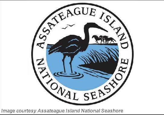 2025 Assateague National Seashore-logo
