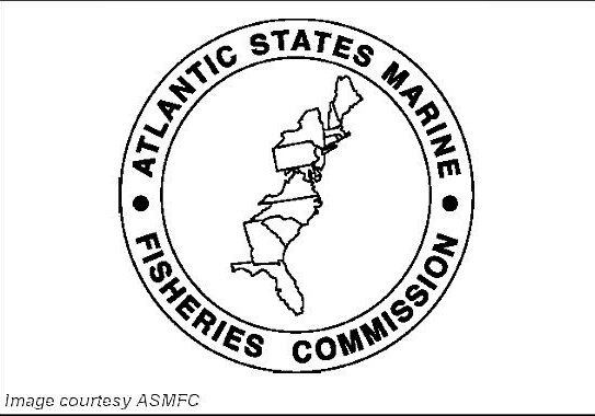 2025 AtlanticStatesMarineFisheriesCommission - logo