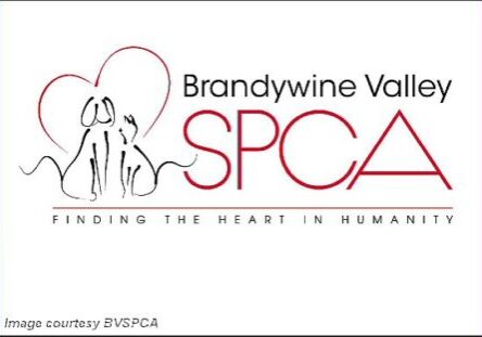 2025 BVSPCA-logo