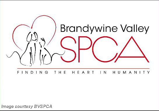 2025 BVSPCA-logo