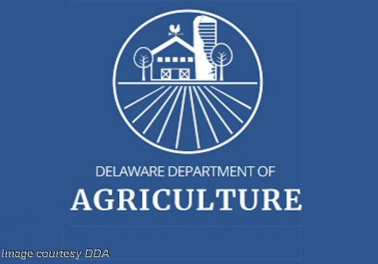 2025 DE Ag - white logo