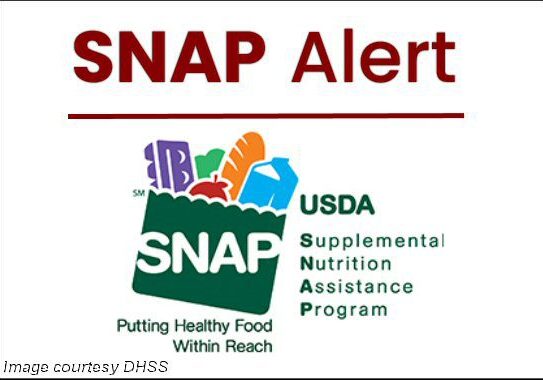 2025 DHSS - SNAP Alert