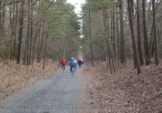 Junction and Breakwater Trail at Cape Henlopen State Park