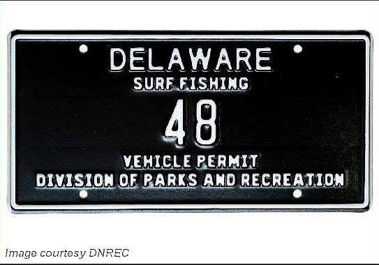 2025 DNREC Low-digit Surf Fish Tag