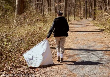 A DNREC Tick Program staff member surveys for ticks in a wooded area of northern New Castle County.  19 tick species have been identified in the state, the most prominent the black-legged tick, the lone
star tick and the American dog tick, all known for transmitting tick-borne illness /Delaware DNREC photo