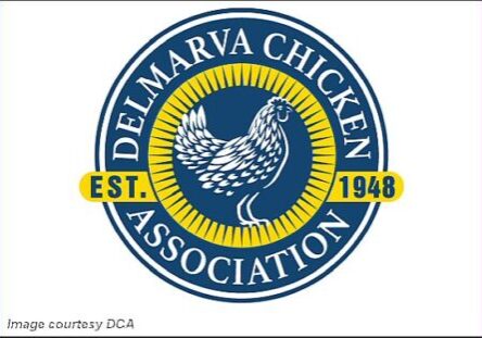 2025 Delmarva Chicken Assoc - logo