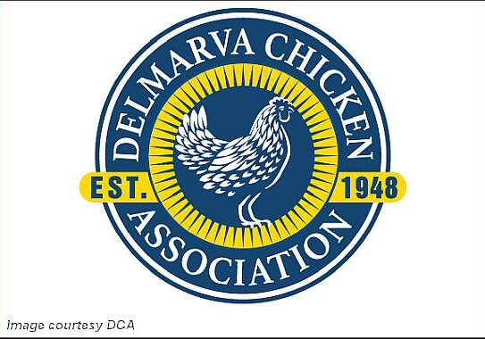 2025 Delmarva Chicken Assoc - logo