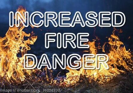 Image © shutterstock_36058930