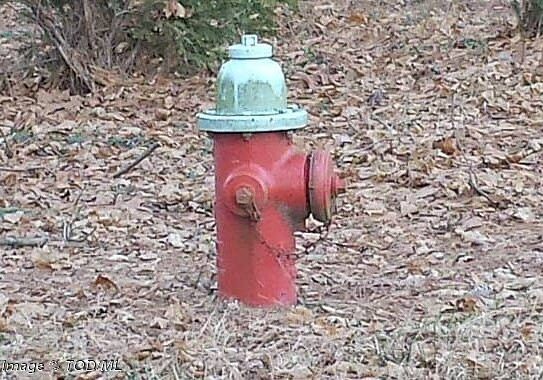2025 Fire Hydrant
