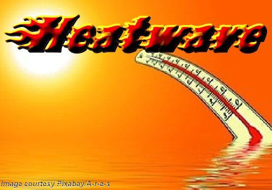 2025 Heatwave thermometer