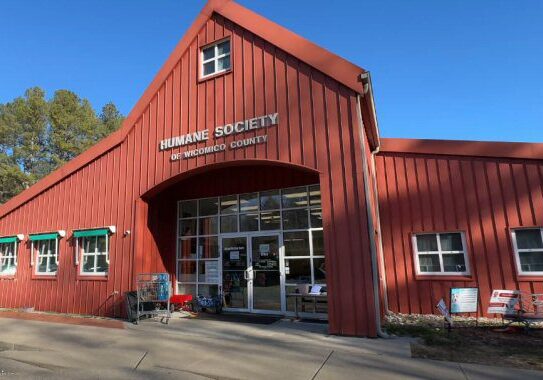 2025 Humane Society Wico County